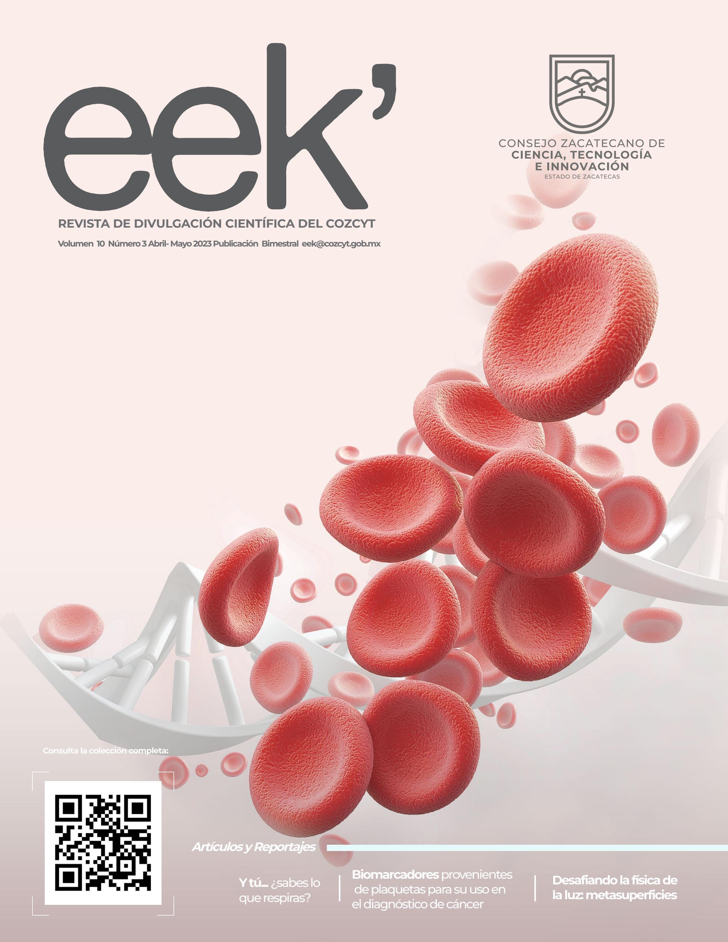 eek58 by Revista eek' - Issuu
