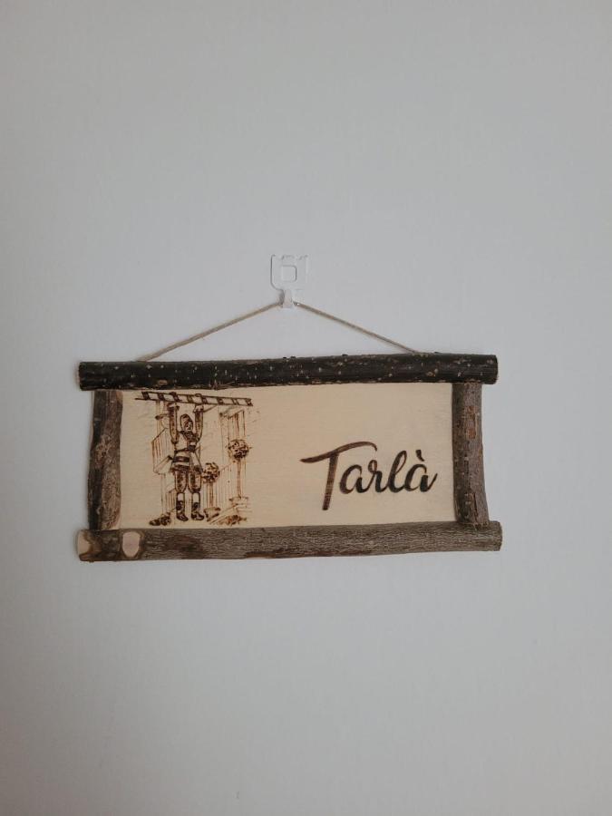 Bed in 4-Bed Female Dormitory Room,1699155160:JPEG