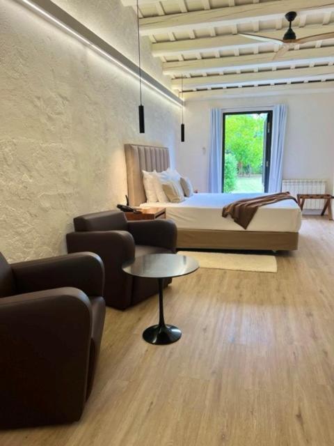 Junior Suite Terrace,1547272579:JPEG