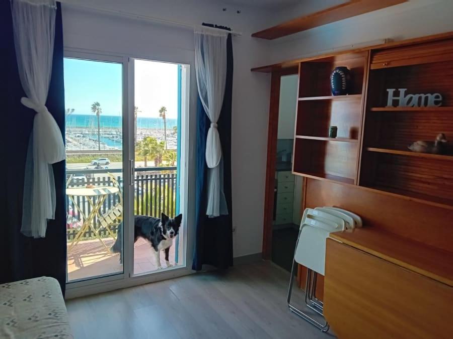 Apartment Terrace,1583700518:JPEG