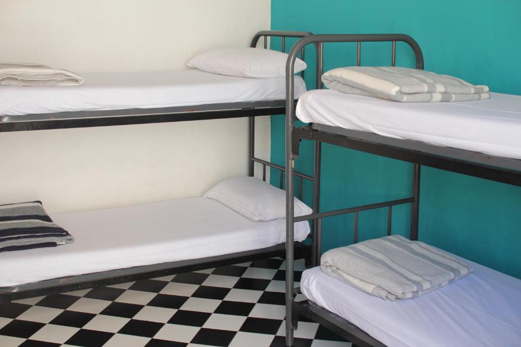 Bed 4-Bed Dormitory Room,58517569:JPEG