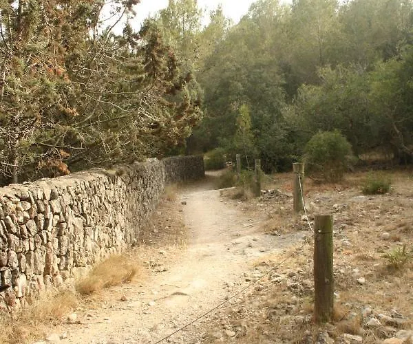 Apartamento rústico reformado con encanto (Garraf)