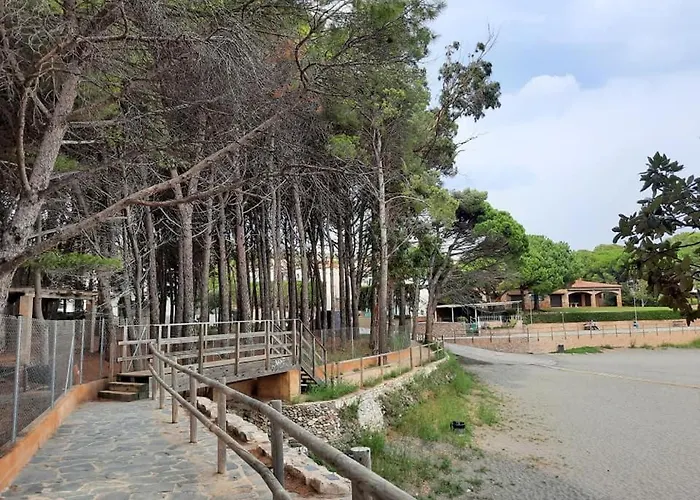 L'Armonia Entre La Farella I Cau Del Llop
