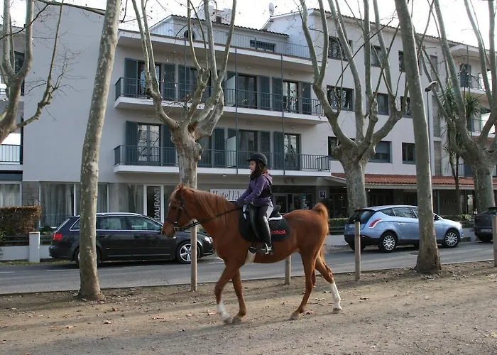 Hotel L'Ast