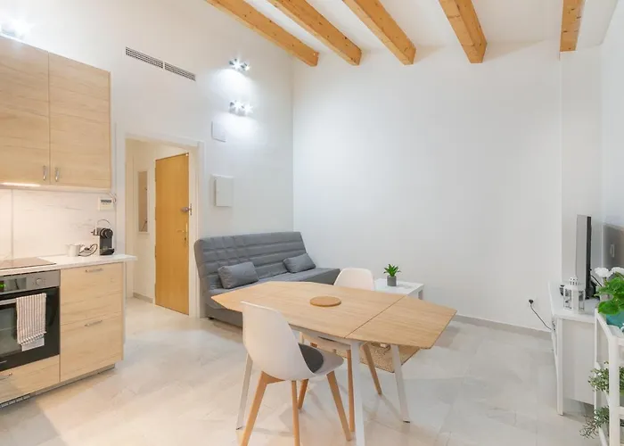 Nice City Center Apartment
