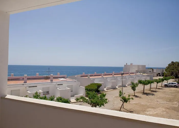 Duplex Ancla
