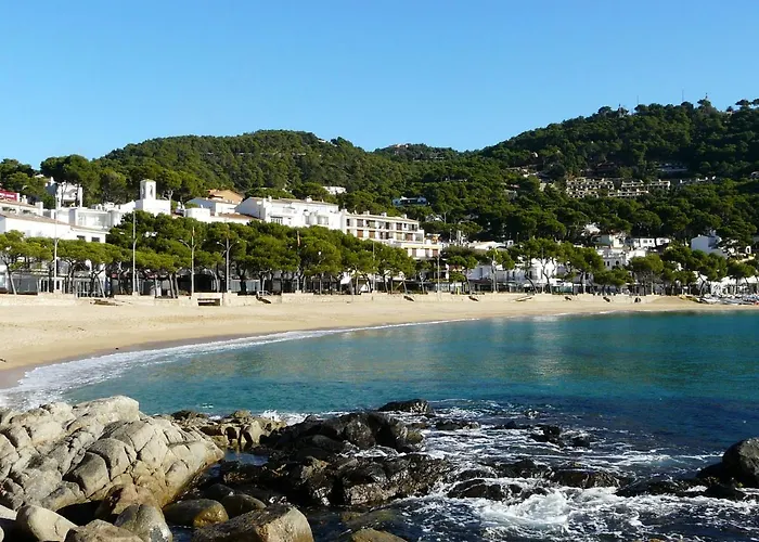 Capdevila 9