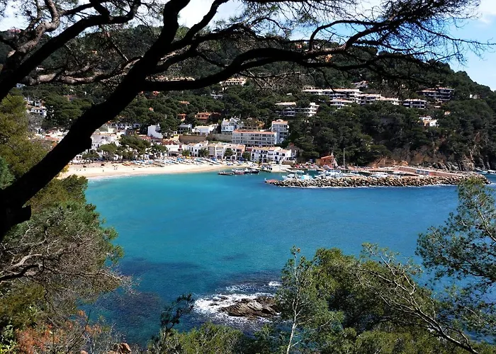 Capdevila 9