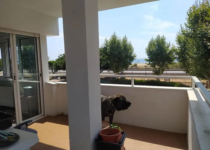Primera Linea De Mar Y Piscina A 20 Minutos De Barcelona