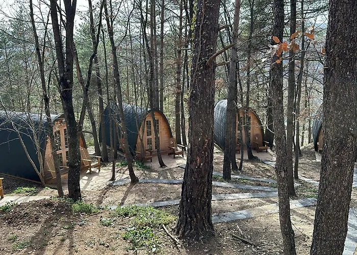 Camping Ripolles