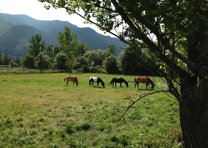 Apartaments Pirinenc