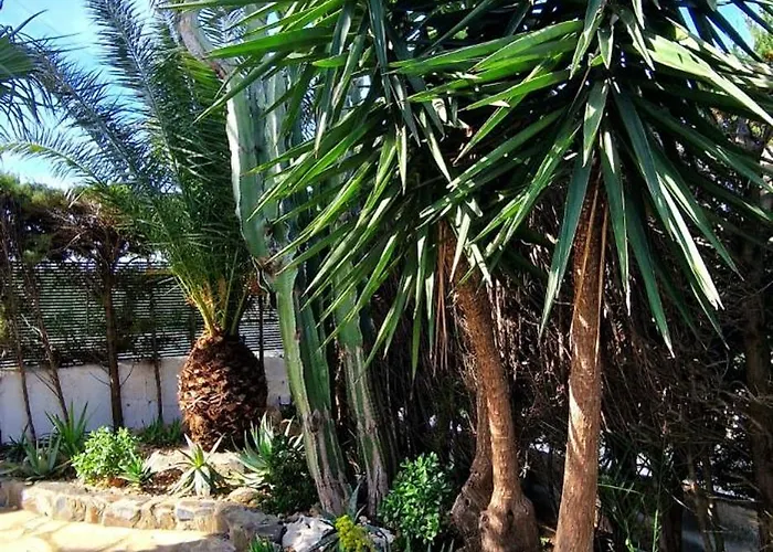 Casa Buganvilla