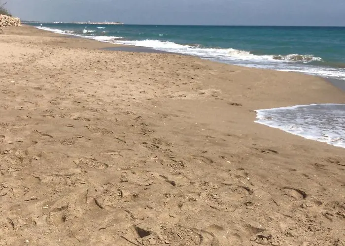 50 Metros De La Playa