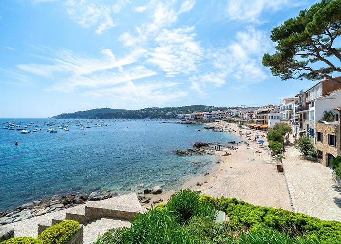 Hauzify I Apartament Joy