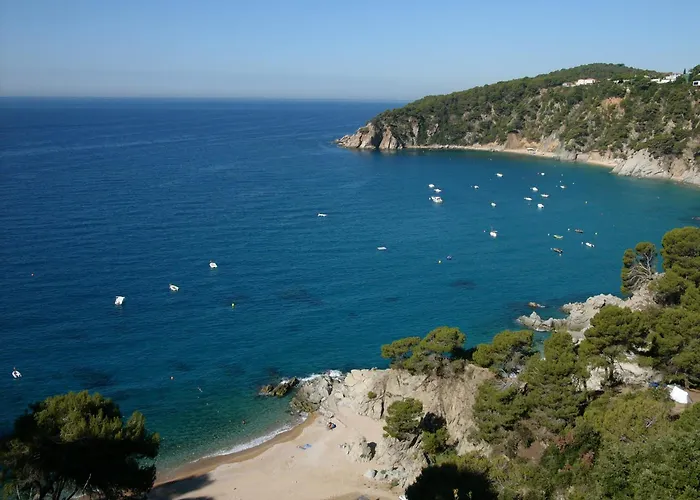 Apartamentos Cala Llevado