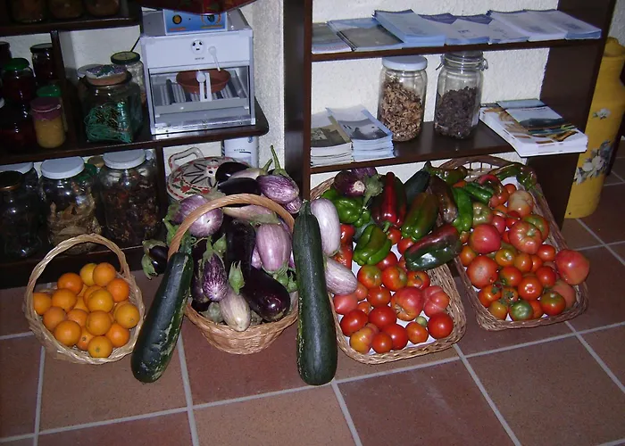 Hotel Rural Masia Can Felip