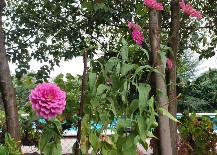 Finca Marina Turismo Rural