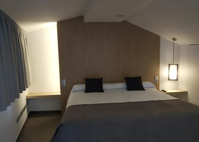 Hotel Olot Centre