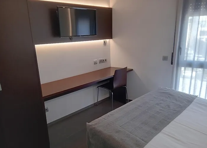 Hotel Olot Centre