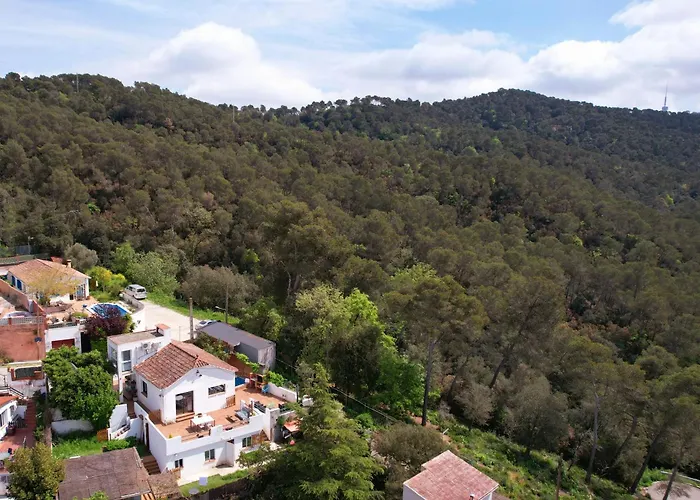 Forest Escape near Barcelona