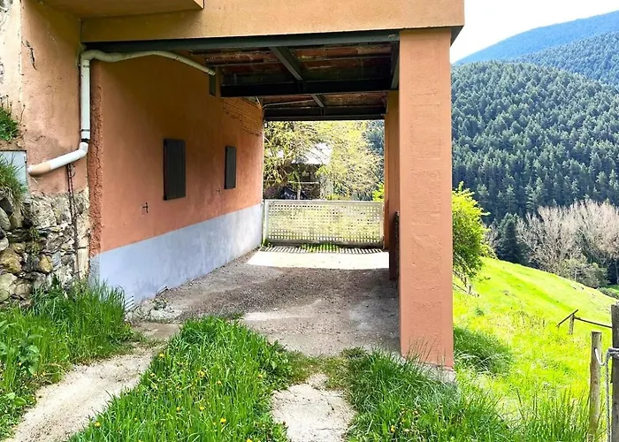 Acollidora Planta Baixa A La Molina