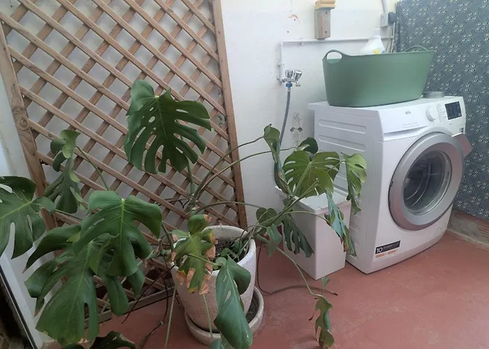 Centric Apartment 100M From The Beach