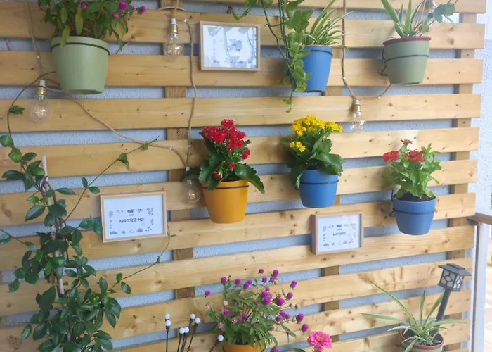 Apartamento Dinasty