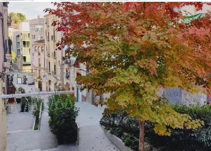 Antic Manresa Atico