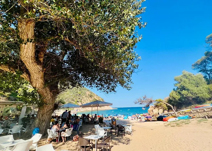 Casa Paradis Rosamar - Luxury Villa With Pool 1Min Walk From Beach Costa Brava!