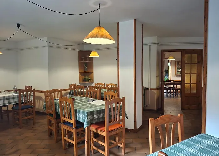 Mitja Pensió Hostal Pastuira Vallter 11