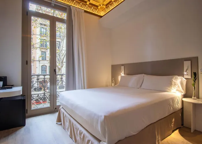 Storni Barcelona By Forget Me Not