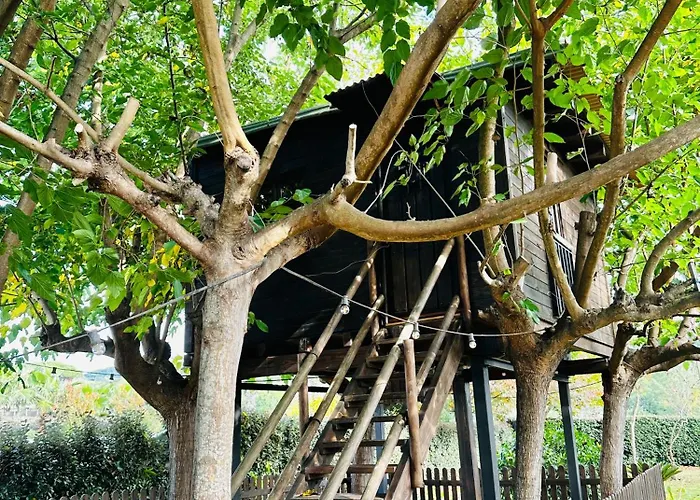 Nature Tree House Casa Sobre Los Arboles