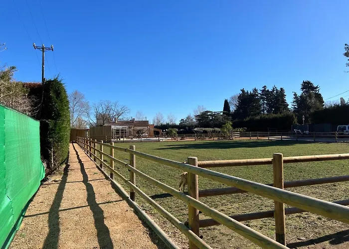 Rancho Catalan 2