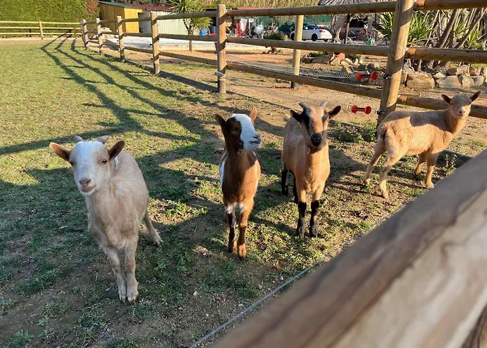 Rancho Catalan 2
