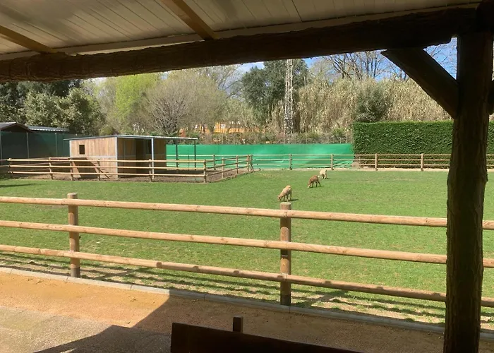 Rancho Catalan 2