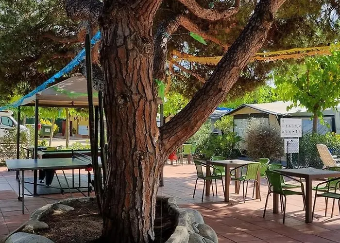 Camping El Pinar Platja