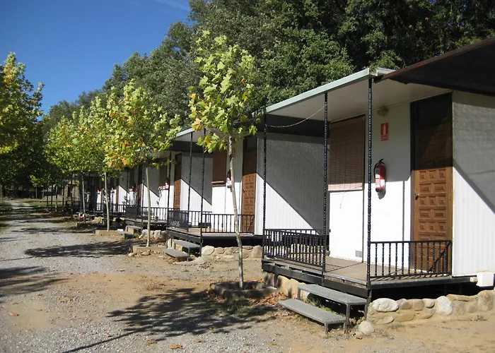 Holacamp Ainsa