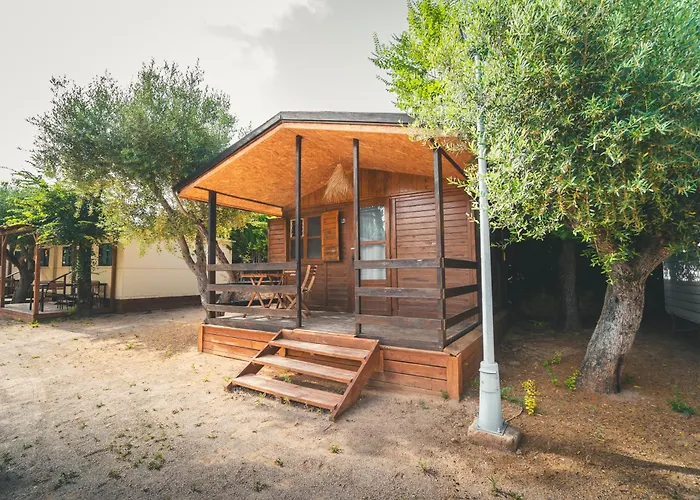 Holacamp Sant Salvador
