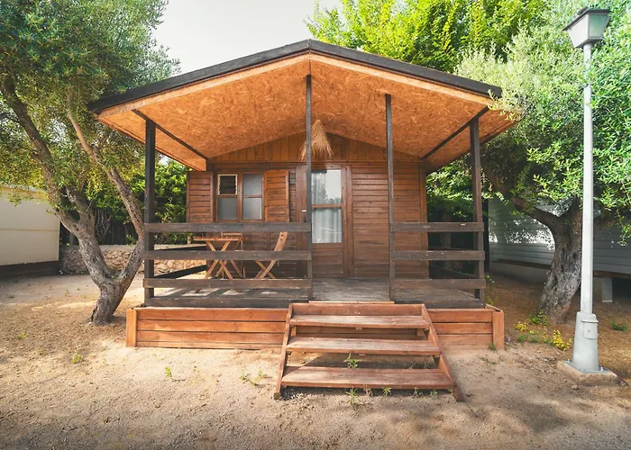 Holacamp Sant Salvador