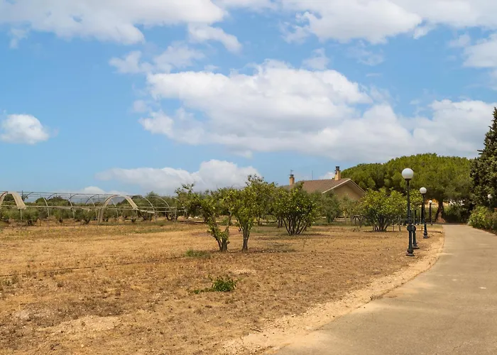 Masia Els Pins D'Olivers Reus
