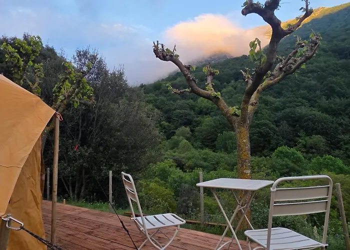 Nova Forest Montseny