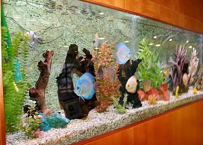 Hotel Montemar Maritim