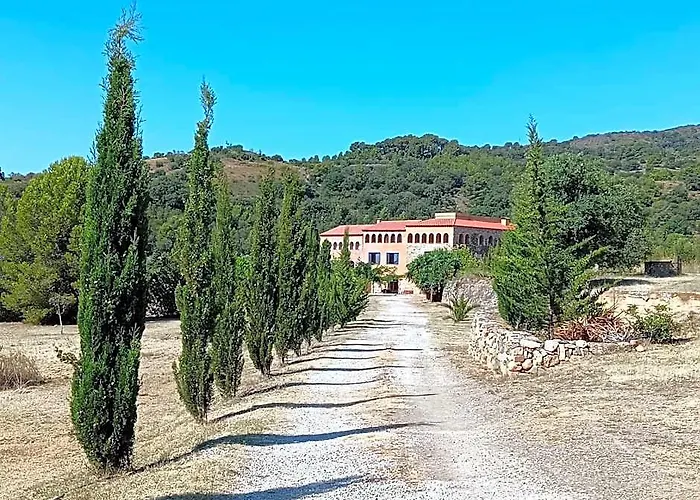 Cami Roma