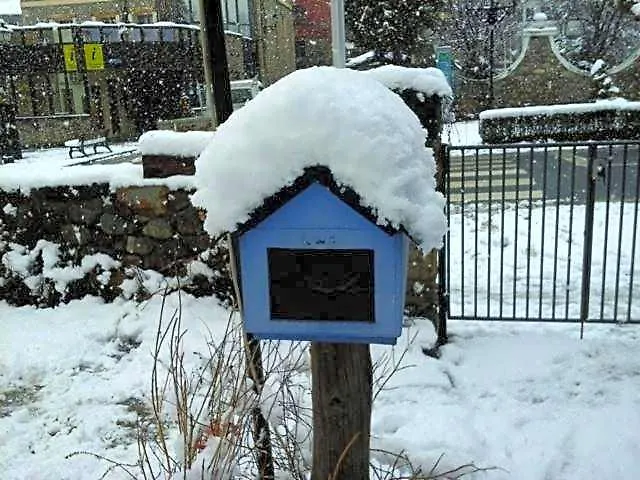 Albergue Pajaro Loco