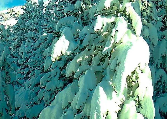 Albergue Pajaro Loco