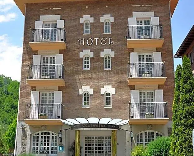 Hotel Edelweiss