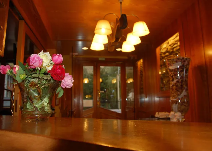 Hotel Roya