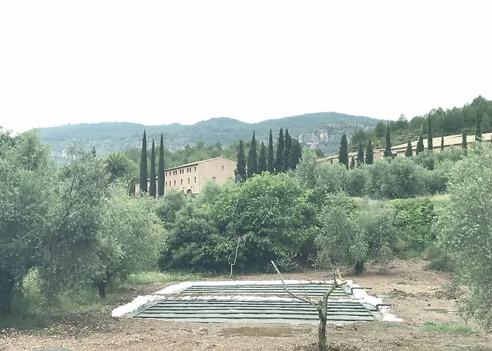 Terra Dominicata - Hotel & Winery - Adults Only