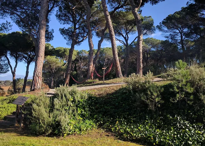 Augusta Barcelona Vallès