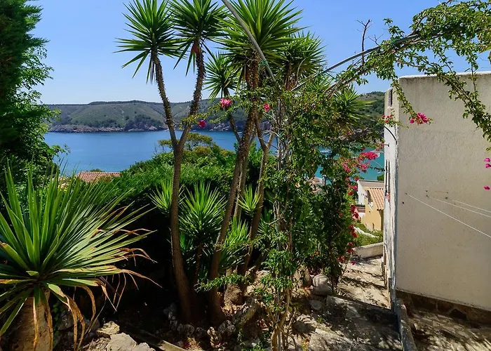 Costabravaforrent Palas Atenea